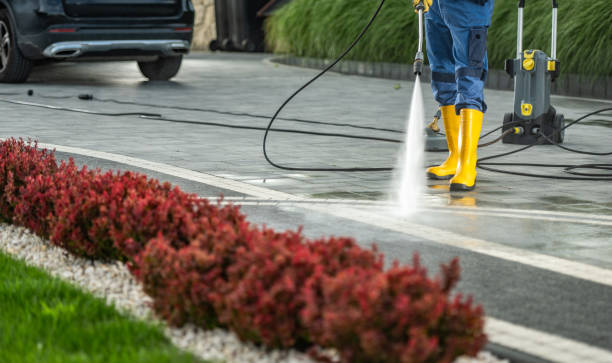 Best Driveway Pressure Washing  in Ridley Rk, PA